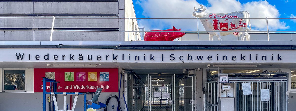 Titelbild: Nutztierklinik