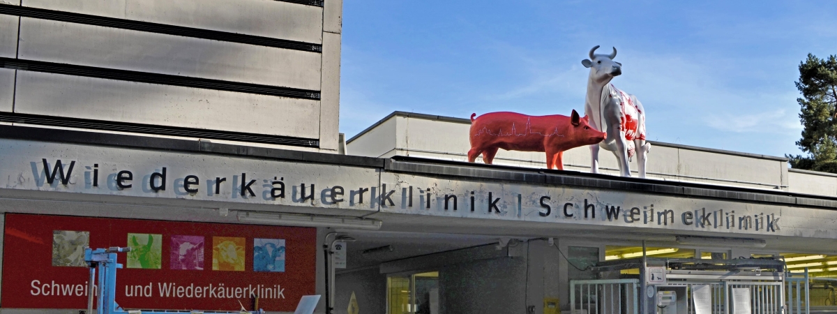Titelbild: Nutztierklinik
